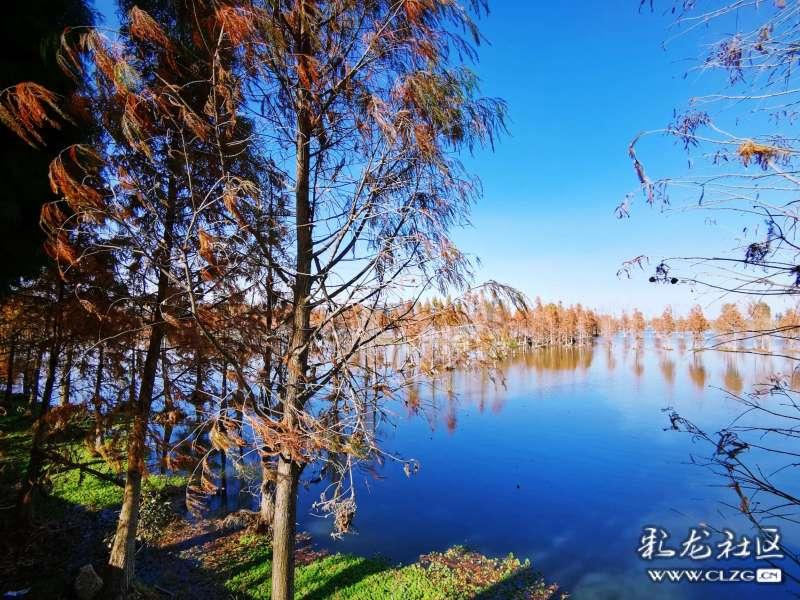 脸上总是爱起痘，是因为什么原因？游戏画面