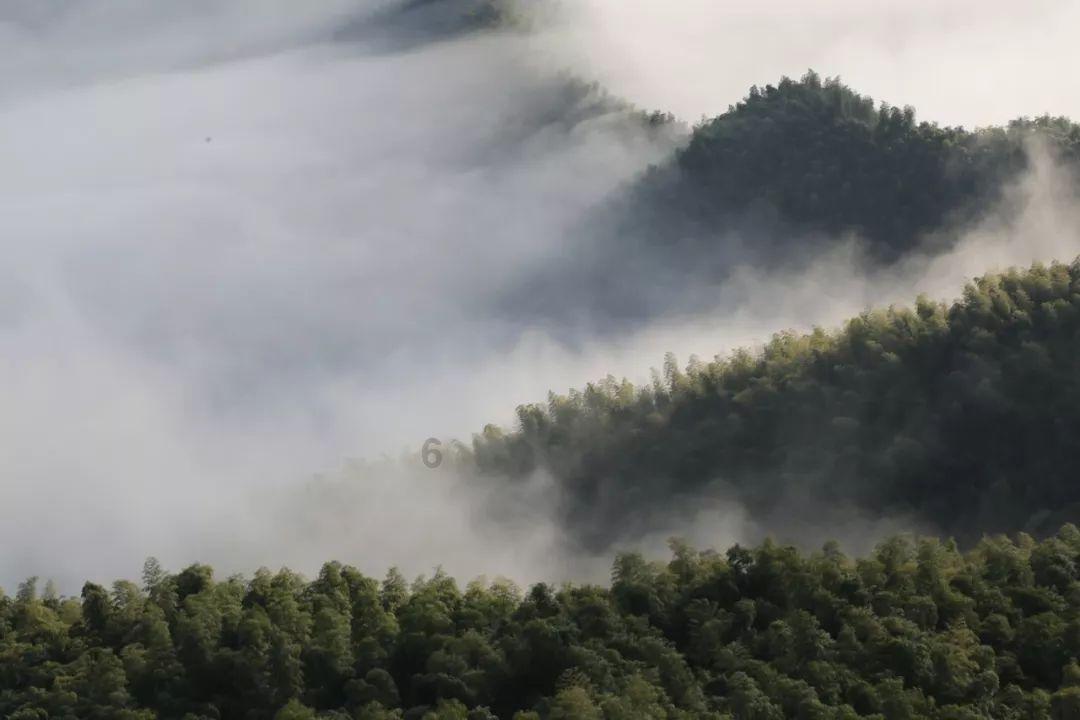 怎样做面条最好吃视频